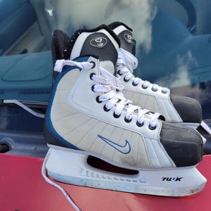 nike v2 skates