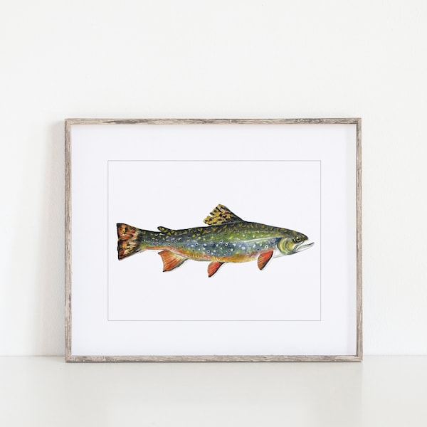 Brook trout print | brook trout painting | trout painting | art for him | fish painting fish art | art for him | fish watercolor