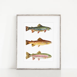 Trout painting | trout print | trout fishing | fish painting | fishermen | art for him | trout watercolor