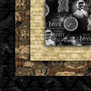 Edgar Allan Poe Seamless Digital Paper Pack, The Raven Digital Pattern, Annabel Lee Fabric Digital Design DPP158 12-12x12in300ppiJPEG image 4