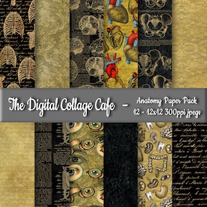 Anatomy Seamless Digital Paper Pack, Anatomical Digital Paper, Heart Seamless Scrapbook Paper, Brain Paper - DPP104 -12-12x12in 300ppi JPEG