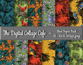 Birds Seamless Digital Paper Pack, Vintage Bird Digital Paper, Colorful Bird Scrapbook Paper  - DPP080 - 12 - 12x12in 300ppi JPEGs