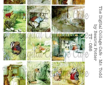 Mr. Todd - Beatrix Potter - Digital Collage Sheet - TT - 086 - Instant  Download