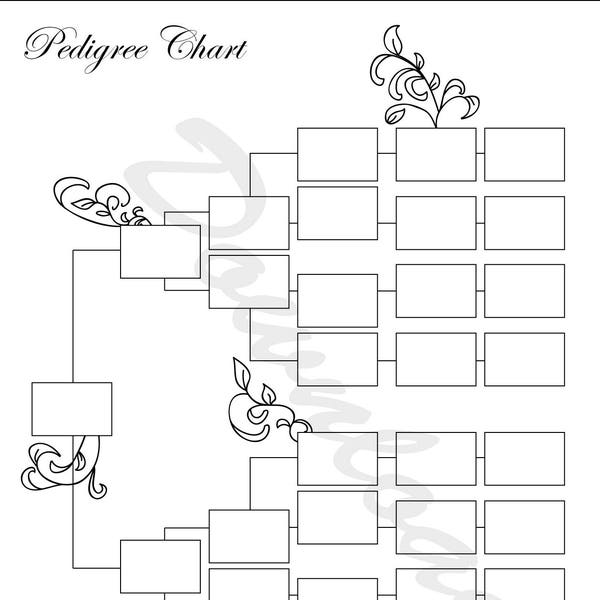 Pedigree Chart Etsy