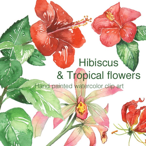 Hibiscus and tropical flower clip art, Watercolor clipart, Printable exotic flowers, Orchid, Hibiscus leaves, Hand painted Hawaiian flowers