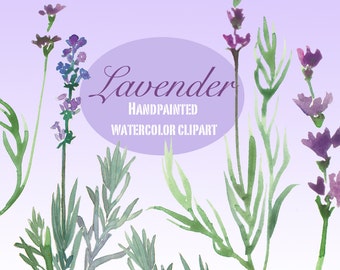 Lavender clipart, Printable lavender flower, Printable art, Lavender plant, Purple floral clipart, Botanical flower, DIY Invitation clipart