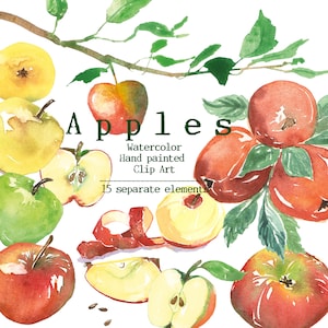 ClipArt di mela, ramo di melo, mele stampabili, clipart botaniche ad acquerello, illustrazione di pezzi di mela, mela verde, clip art di frutta