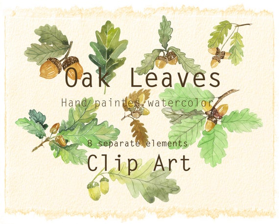 Oak Tree Leaves Clip Art