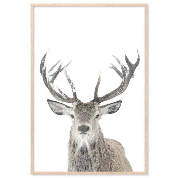 Winter Deer, Canvas Art Print, Paper Print, Deer Wall Decor, Stag Art, Poster, Animal Portrait