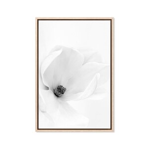 White Magnolia Flower, Canvas Art Print, Paper Print, Poster, Flowers, Floral, Flower Wall Decor, Bloom, Photography