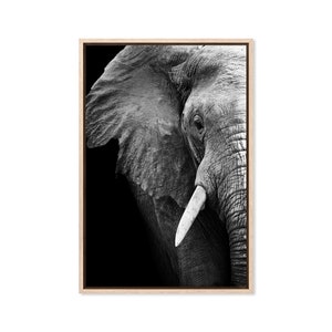 Elephant Wisdom, Canvas Art Print, Paper Print, Poster, Animal Wall Decor, Photographic Print