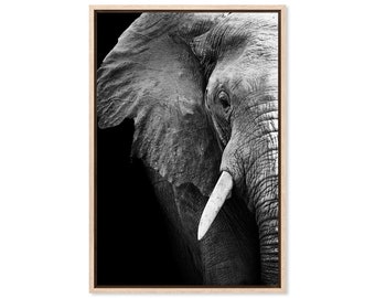 Elephant Wisdom, Canvas Art Print, Paper Print, Poster, Animal Wall Decor, Photographic Print
