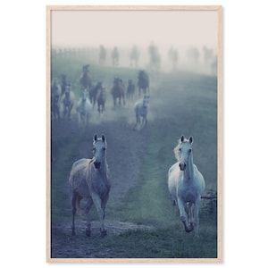Wild Horses, White Horse, Landscape Art, Nature, Green, Canvas Art Print, Paper Print, Animal Art