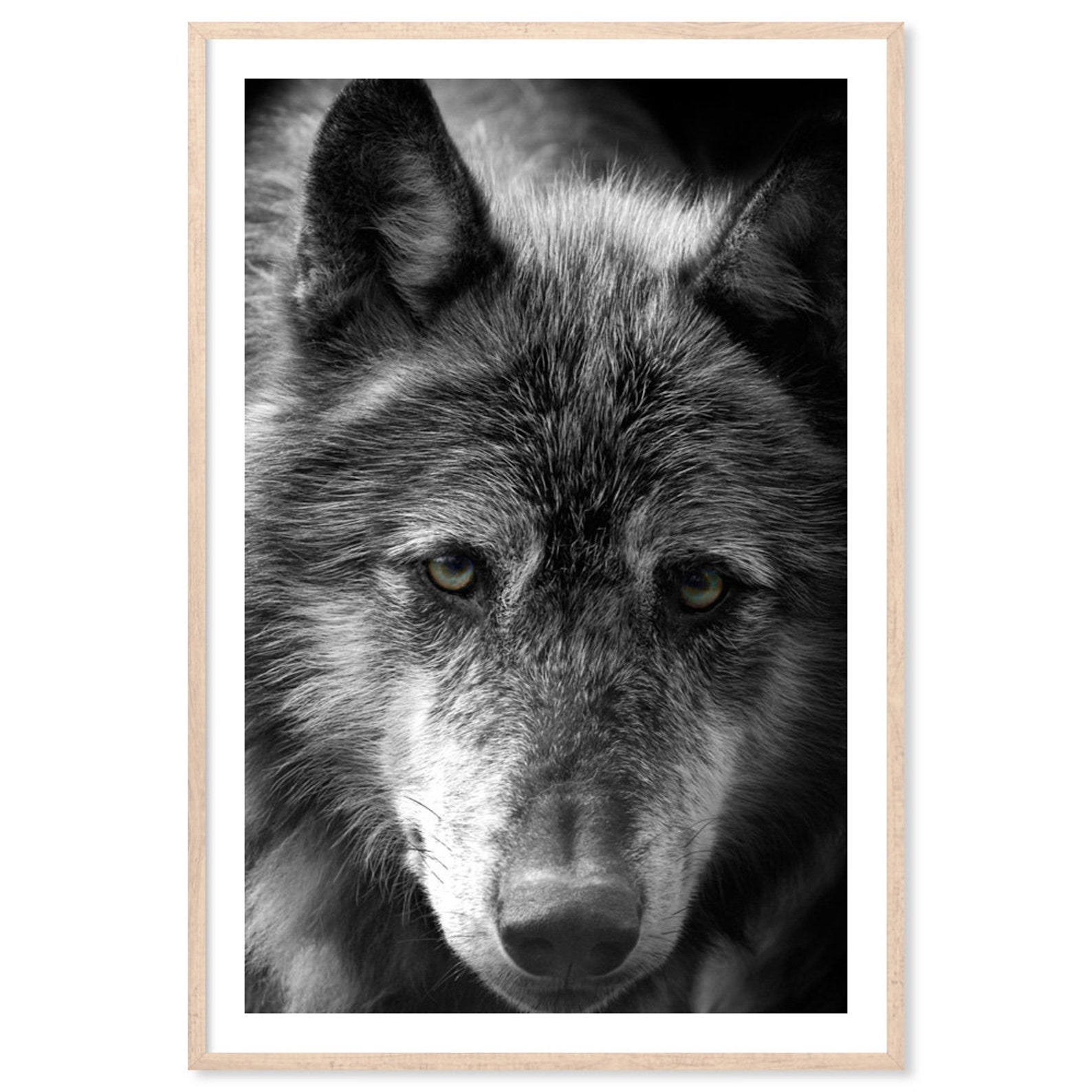 Black Wolf Canvas Art Print Paper Print Poster Portrait - Etsy