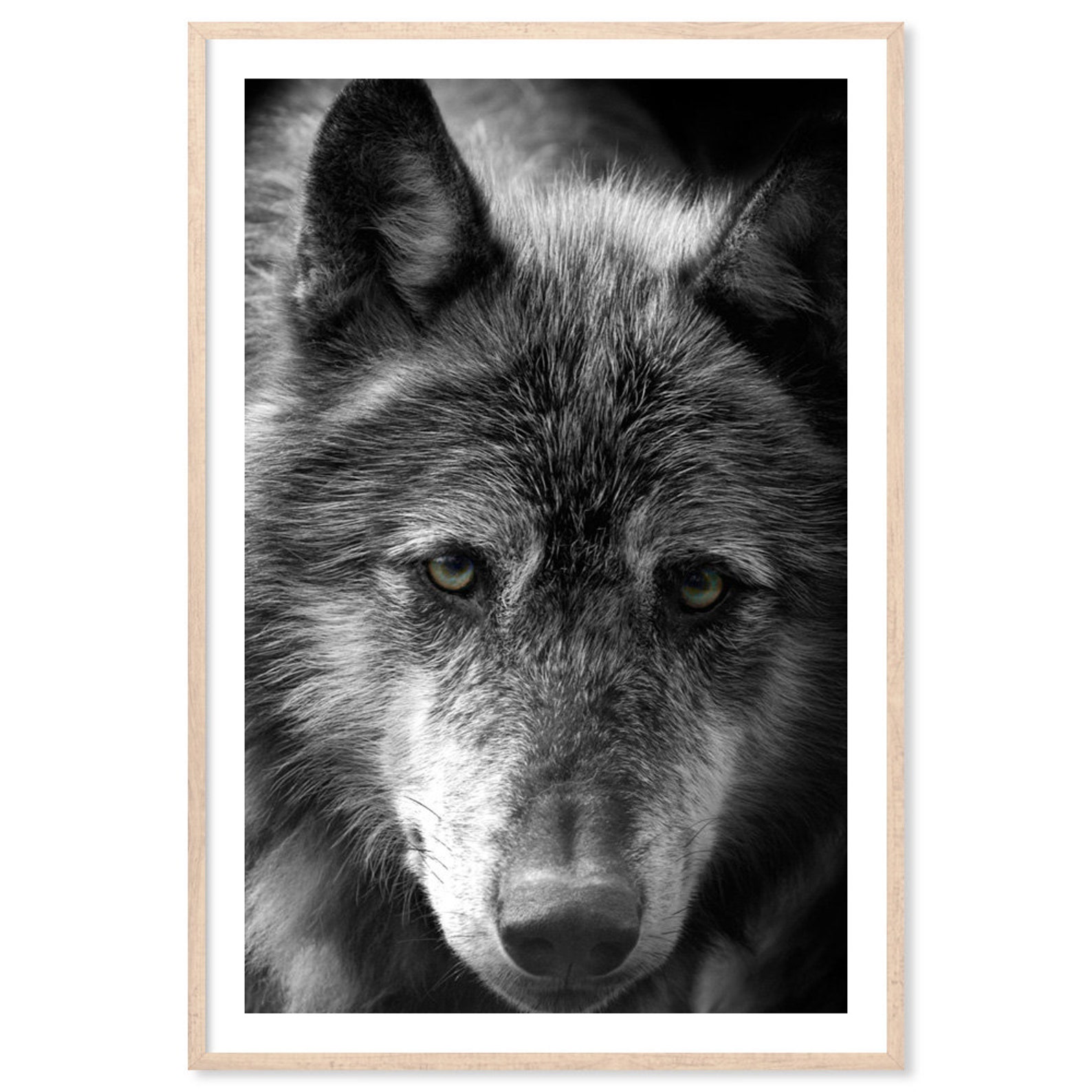 Black Wolf Canvas Art Print Paper Print Poster Portrait Etsy