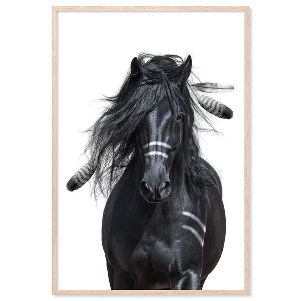 Native American Horse Warrior, Canvas Art Print, Paper Print, Black White Art, Horse Print, Animal Art, Black Horse, Feather, Indian