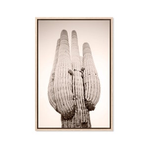 Cactus Rose, Canvas Art Print, Paper Print, Saguara Cactus Plant, Desert Plant, Large Canvas, Poster