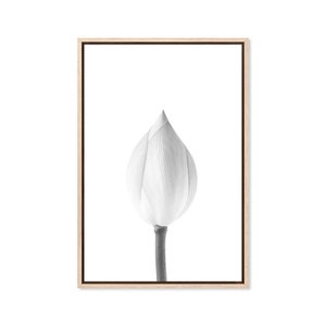 Lotus Flower Bud, Canvas Art Print, Paper Print, Poster, Flowers, Floral, Flower Wall Decor, Bloom, Photography