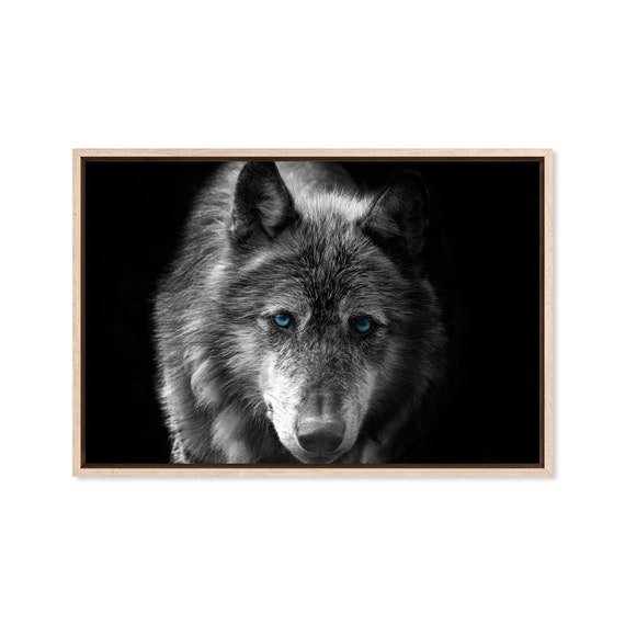 My Image 18