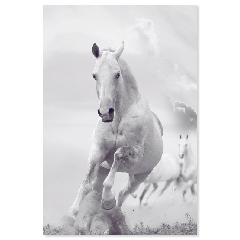 White Stallion Horse Canvas Art Print Paper Print White Etsy