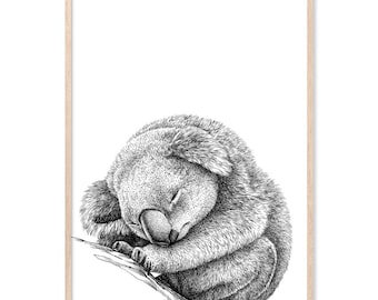 Koala Bear Dreaming, Canvas Art Print, Paper Print, Bear Print, Australian Art, Baby Animal Art, Nursery, Koala Illustration
