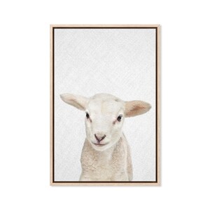 Lamb, Canvas Art Print, Paper Print, Baby Animal Print, Nursery Art, Woodland Wall Decor, Peakaboo, Canvas, Large Poster