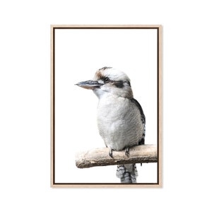 Australian Kookaburra, Canvas Art Print, Paper Print, Bird Print, Australia Art, Large Poster