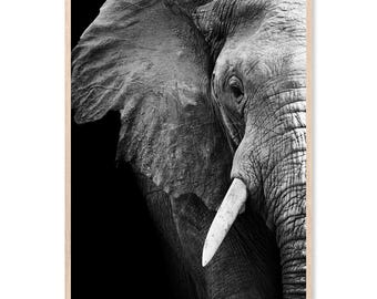 Elephant Wisdom, Canvas Art Print, Paper Print, Poster, Animal Wall Decor, Photographic Print