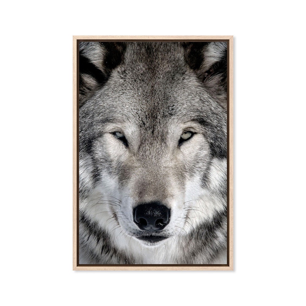 Grey Wolf Canvas Art Print Paper Print Wolf Print Canvas - Etsy