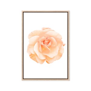 Peach Rose, Canvas Art Print, Paper Print, Poster, Flowers, Floral, Flower Wall Decor, Bloom, Photography