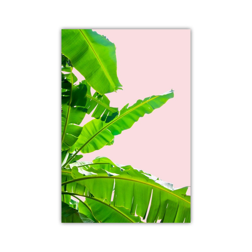 Banana Leaf Print Pink Canvas Art Green Leaves Tropical | Etsy