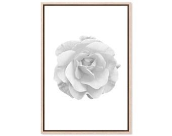 Rose Flower Beauty, Canvas Art Print, Paper Print, Poster, Flowers, Floral, Flower Wall Decor, Bloom, Photography
