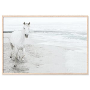 White Horse On Beach, Canvas Art Print, Coastal, Horse, Animal Art, Beach, Hamptons, Large Poster