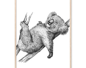 Koala Bear, Canvas Art Print, Paper Print, Bear Print, Australian Poster, Baby Animal Art, Nursery Decor, Woodland, Koala Illustration