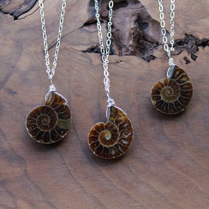 Fossil necklace, ammonite necklace, silver wire wrapped long layering necklace, real fossil necklace, shell necklace, gift for women image 3