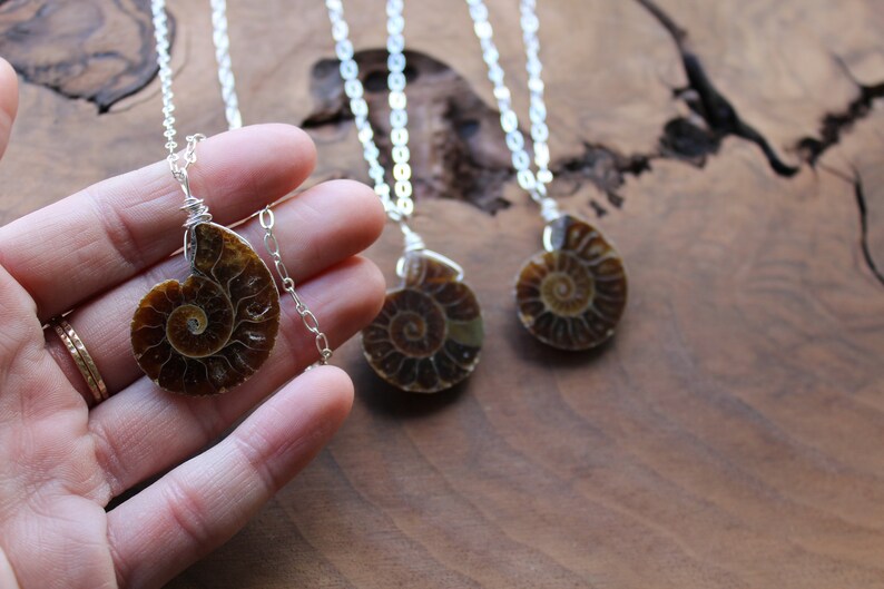 Fossil necklace, ammonite necklace, silver wire wrapped long layering necklace, real fossil necklace, shell necklace, gift for women image 2
