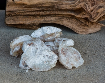 Copal Blanco (Bursera bipinnata)