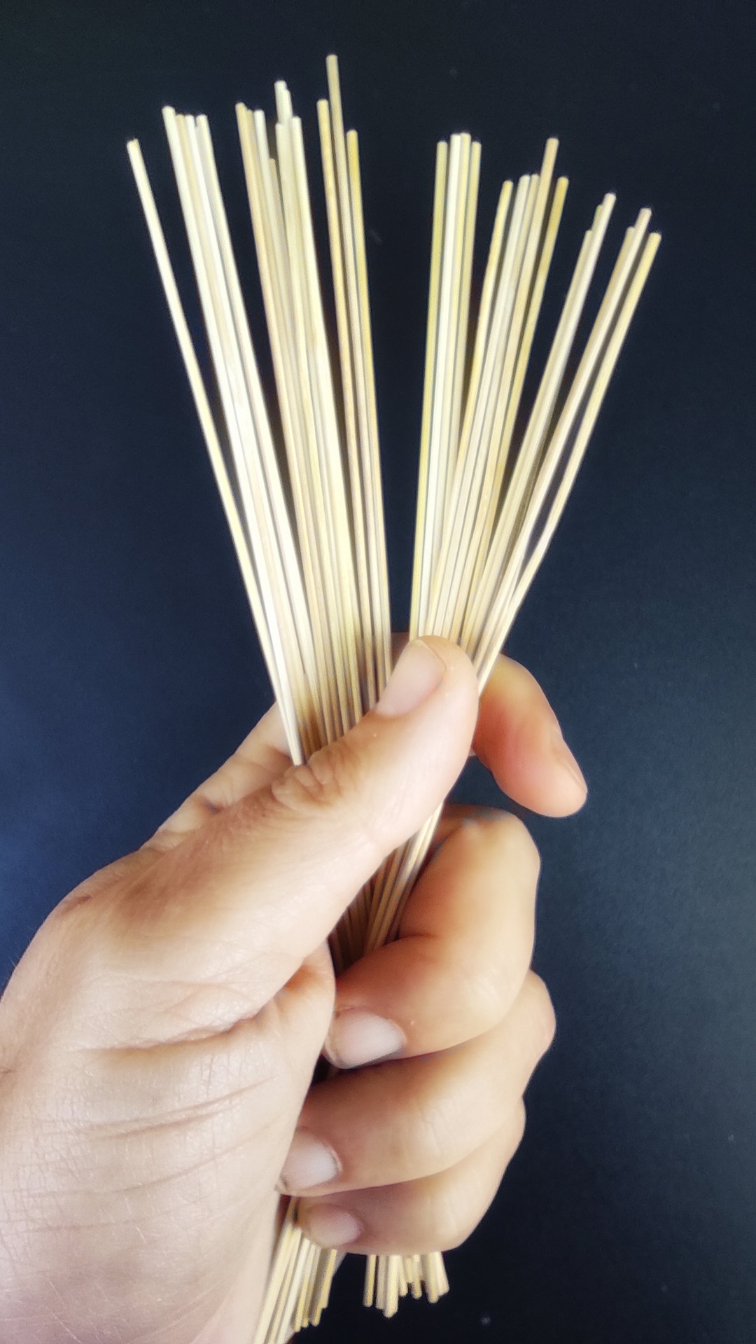 Stick of Bamboo for Making Incenses 1.3 Mm X 20 Cm Etsy