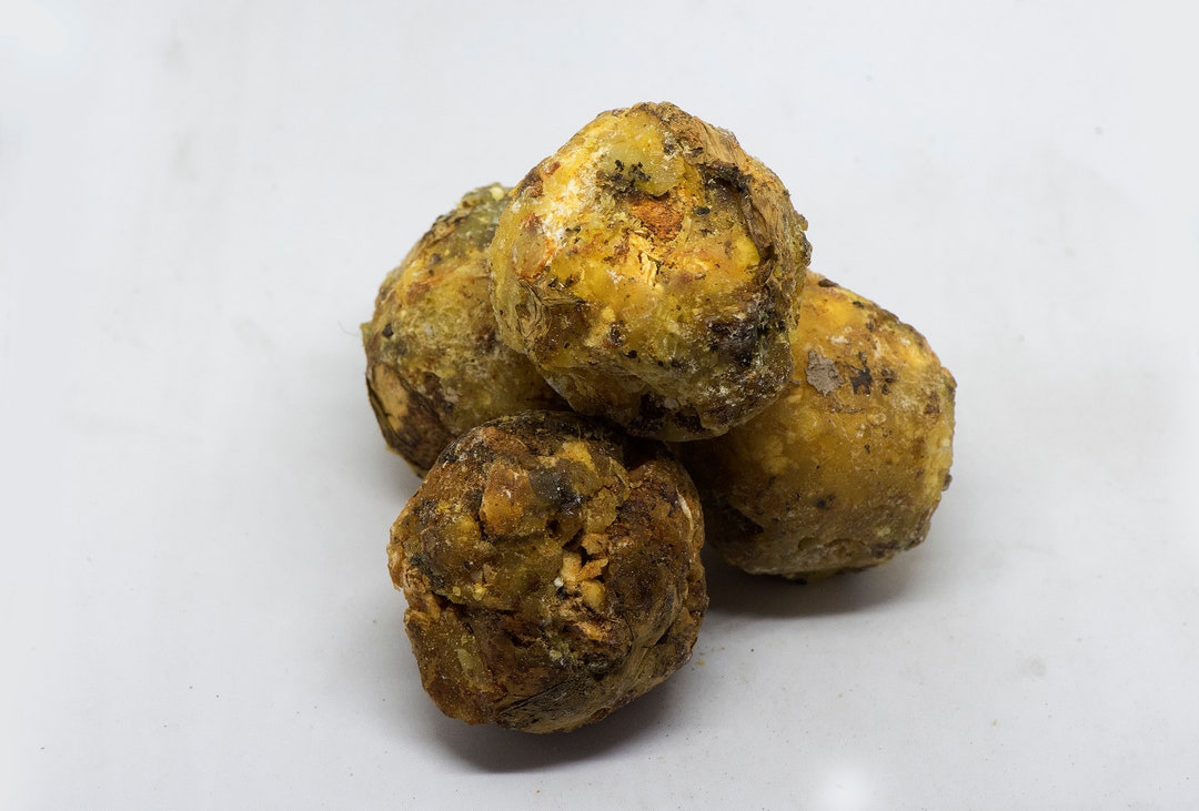 Canarium Madagascariensis Haramy Elemi Del Madagascar 50 Gr Etsy