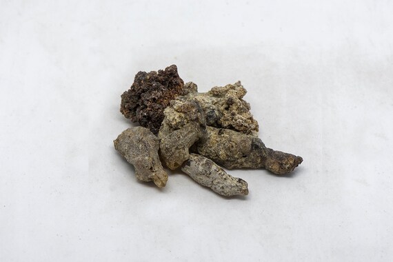 Resine Gnali Ou Sata Daniellia Oliveri Etsy