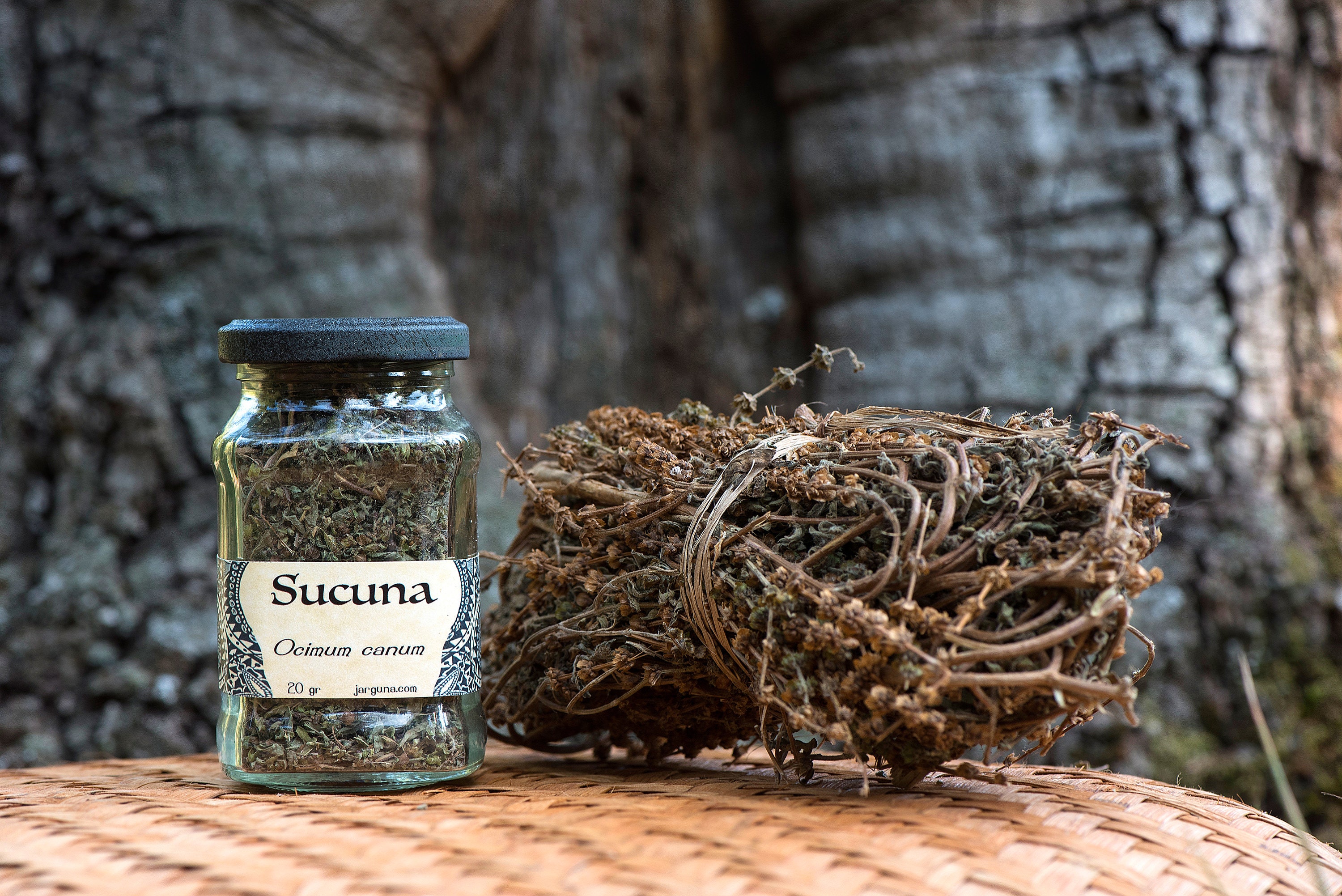 Sucuna (ocimum Canum) 20 Gr ... Wash the Dead - Etsy, image size:3000x2003