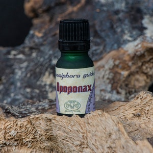 Opoponax Essential Oil (Commiphora guidotti) resin