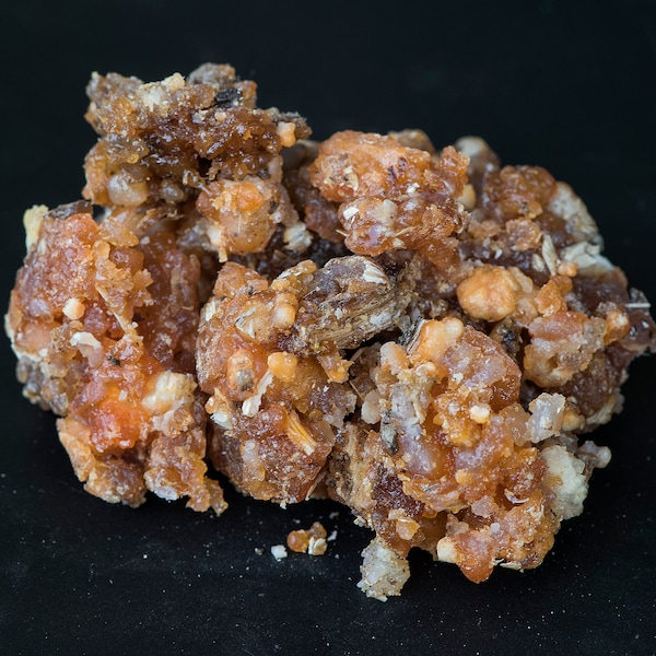Galbanum (Ferula gummy) resin solid
