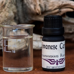 Stout Camphor Tree  essential Oil (Cinnamomum kanehirae)