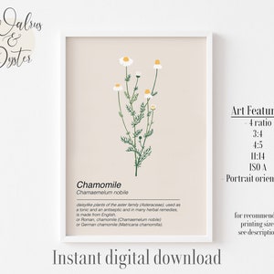 May include: A printable botanical illustration of chamomile, a daisy-like plant with white petals and yellow centers. The illustration is on a light beige background with the text "Chamomile Chamaemelum nobile" and a description of the plant's uses. The text "Art Features" is listed with a variety of aspect ratios and the text "Instant digital download" is at the bottom of the image.