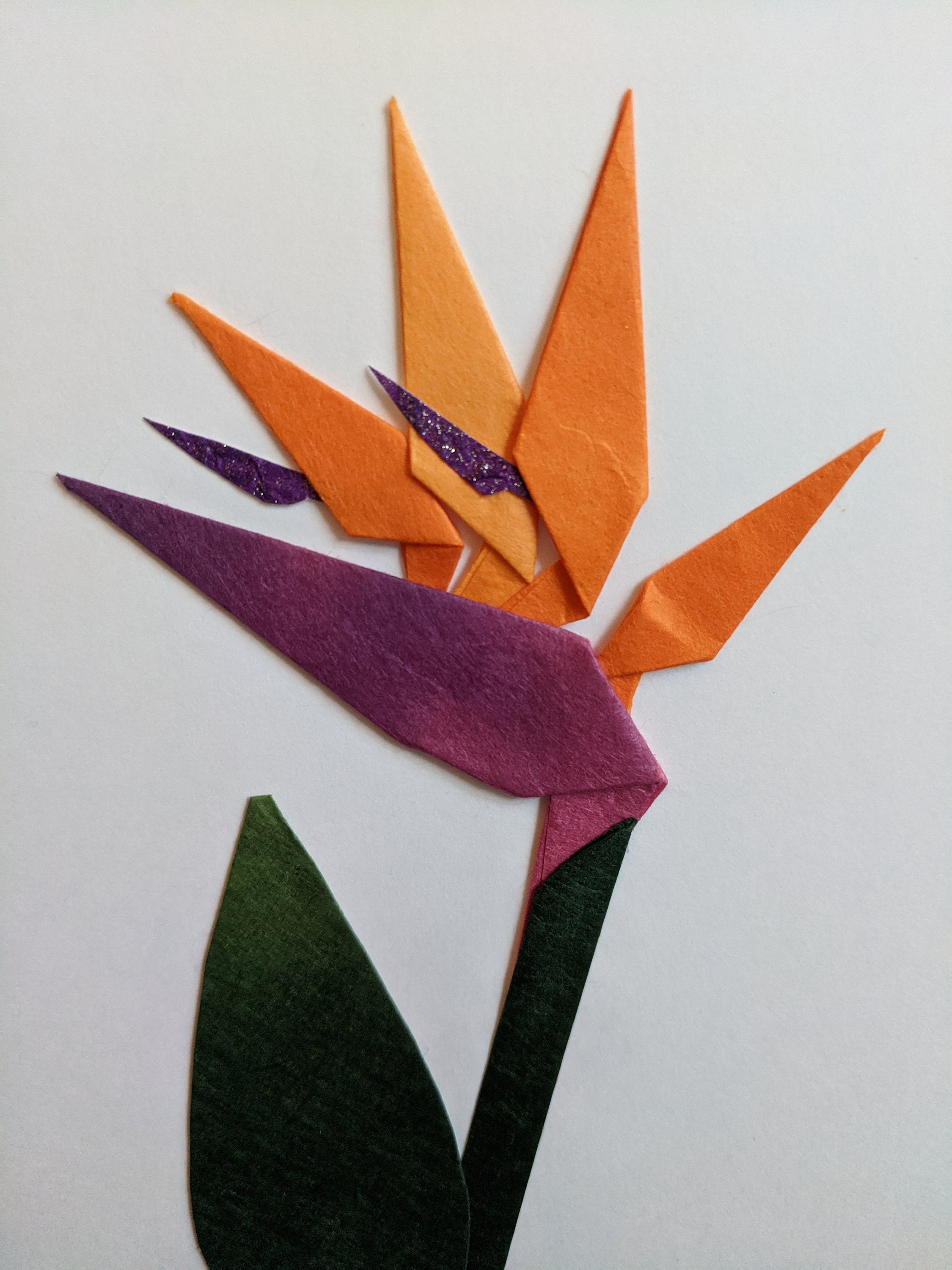 Tarjeta origami bird of paradise hecha a mano Etsy