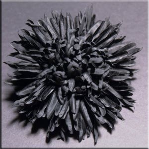 Handmade Black Chrysanthemum, Silk Flower Brooch, Flower Jewelry, Silk Jewelry