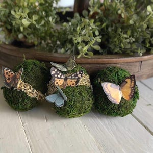 Spring Butterfly Moss Eggs -Set of 3