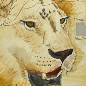 8&quot; x  10&quot;  Male Lion Kenya Africa original one of a kind watercolor painting King of the Jungle big kitty African wild safari