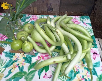 MIX Fresh SEEDS of Bottle Squash.  Seeds Mixed Variety Lagenaria Squash organic vegetable calabash bottle gourd edible self produced